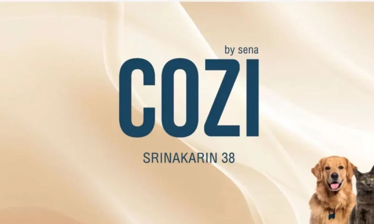 COZI Srinakarin 38 Condo Bangkok