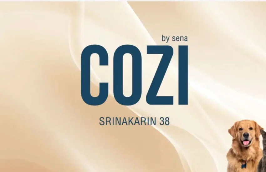 COZI Srinakarin 38 Condo Bangkok