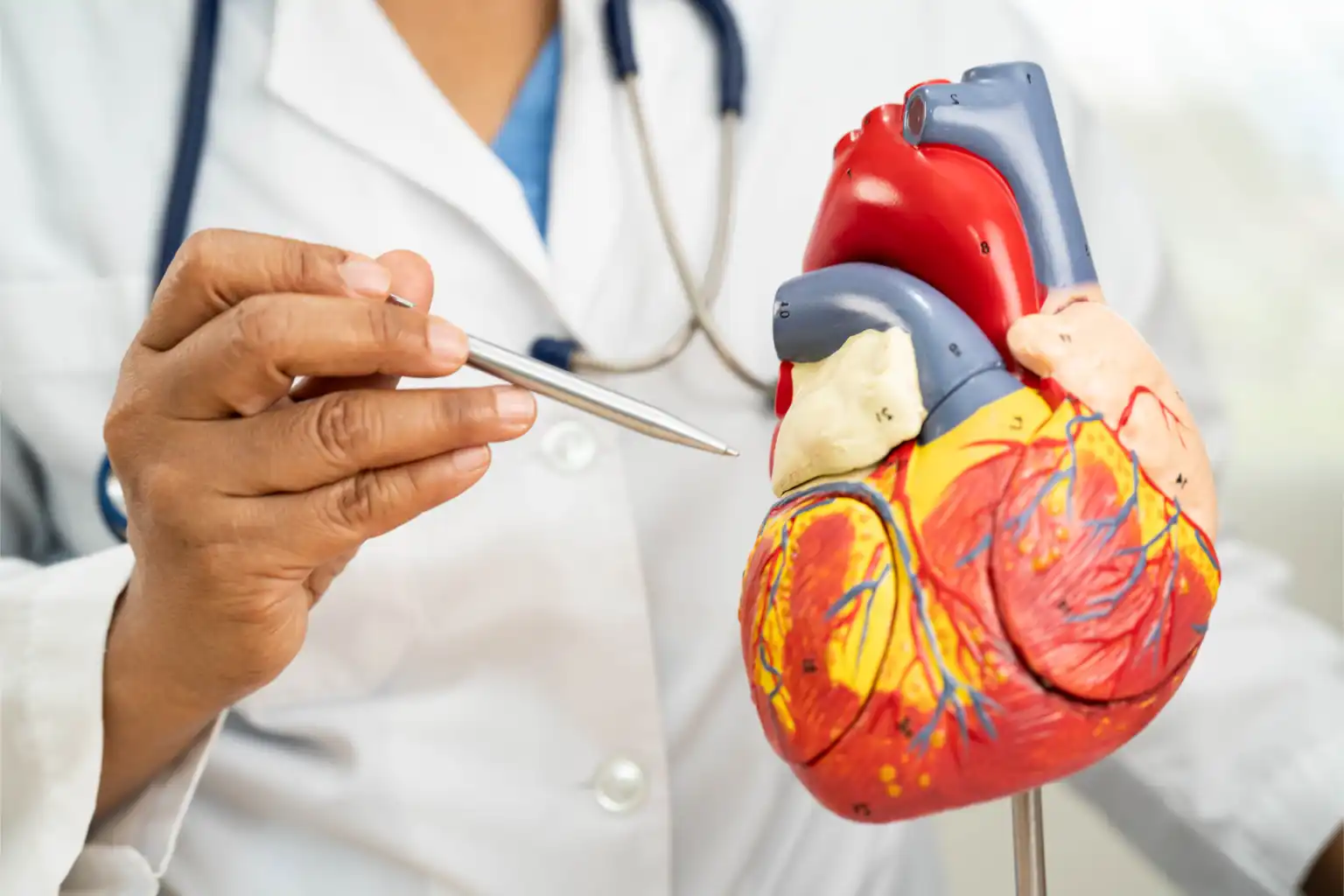 Cardiology